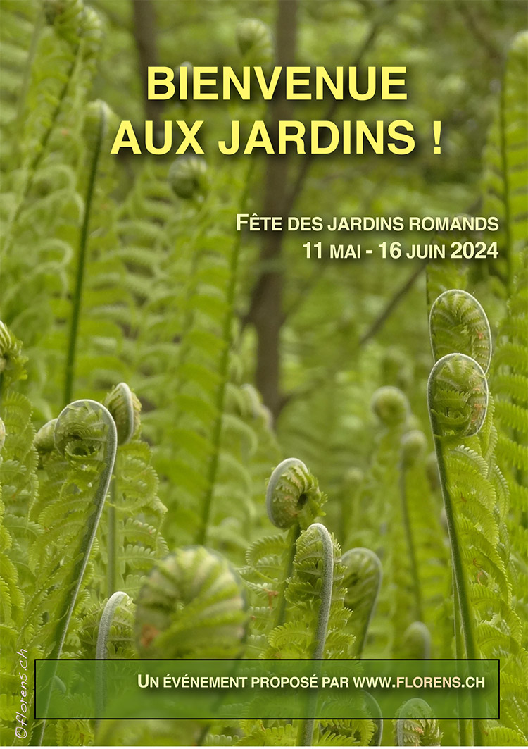 une magazine
